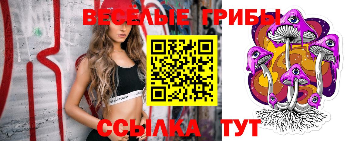 Галлюциногенные грибы GOLDEN TEACHER  Вход с VPN  Галлюциногенные грибы прущие грибы  Волгоград 