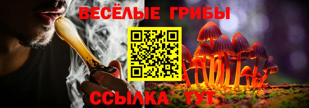Галлюциногенные грибы MAGIC MUSHROOMS Волгоград